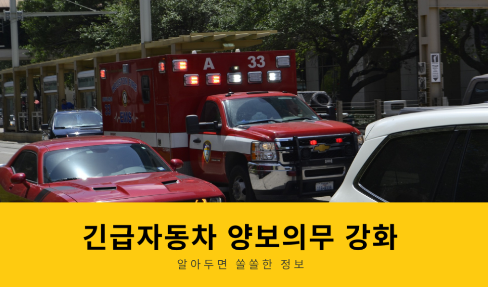 강화자동차 이미지