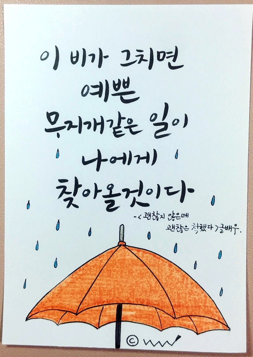 포와이비 이미지