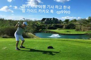 판다골프 이미지