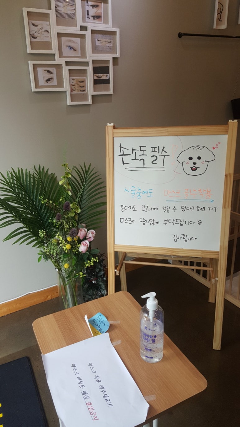다미래쉬 이미지