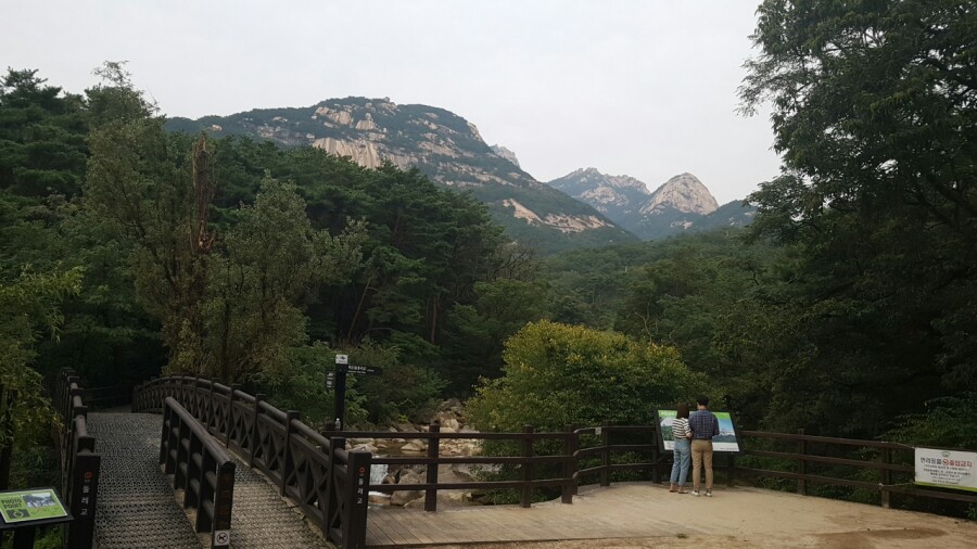 부칸산837 이미지