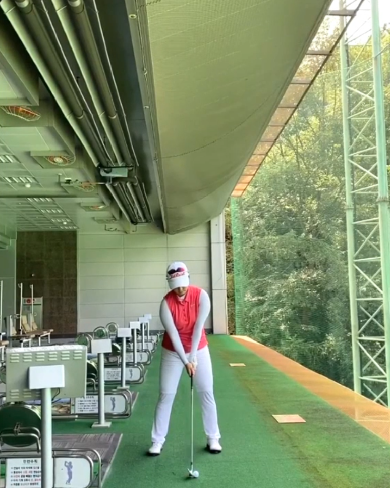 차우리다 이미지