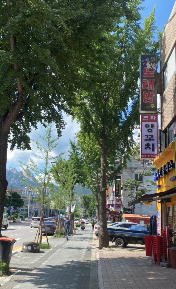 연화양꼬치 이미지