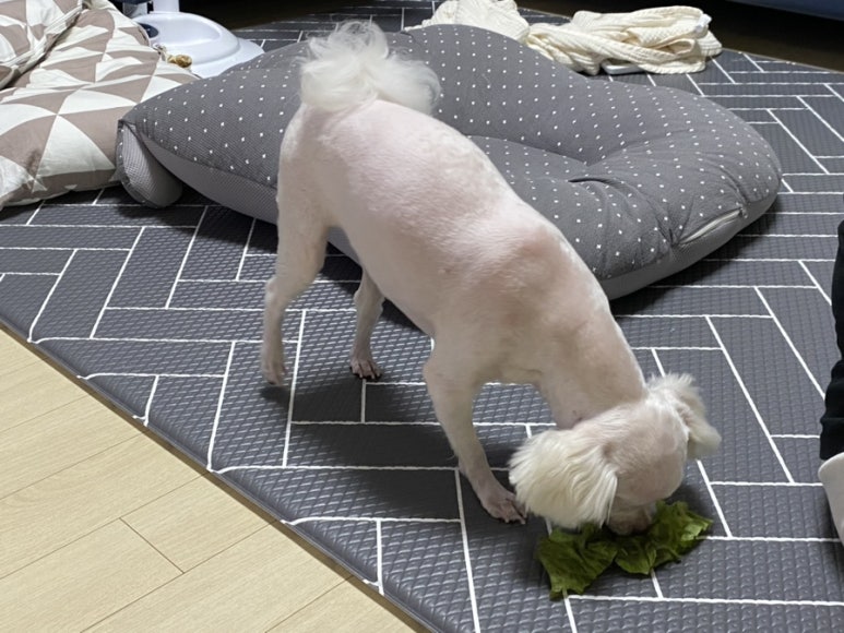 삼천포회타운 이미지
