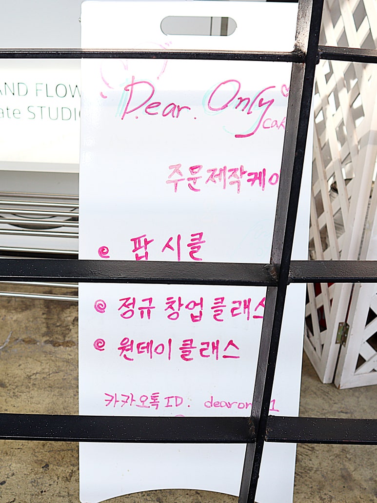 디어온리 이미지