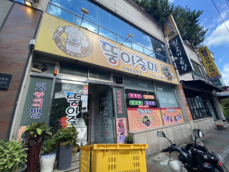 뚱아줌마 이미지