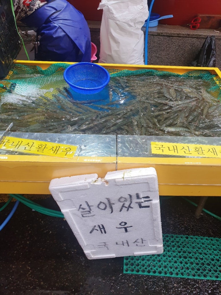 순복대하 이미지