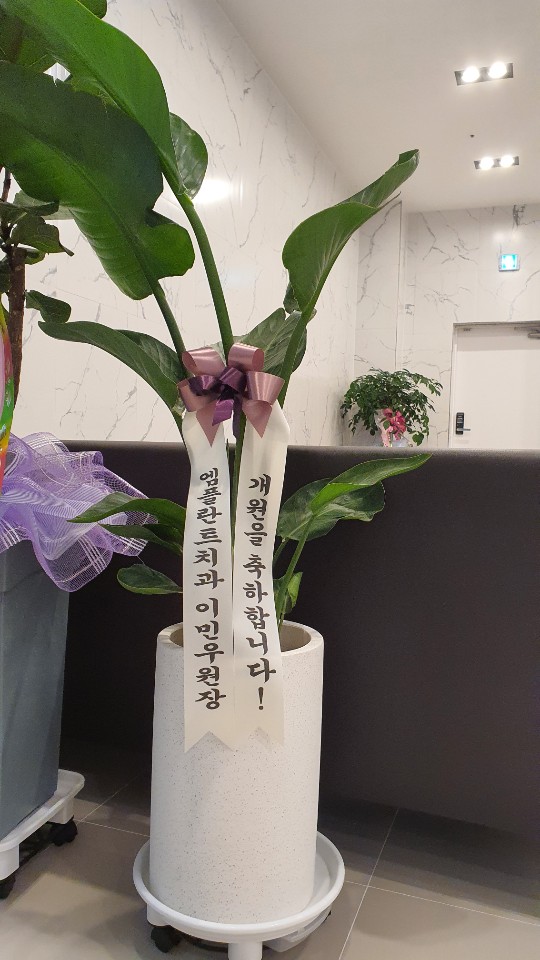 엠플란트치과의원 이미지