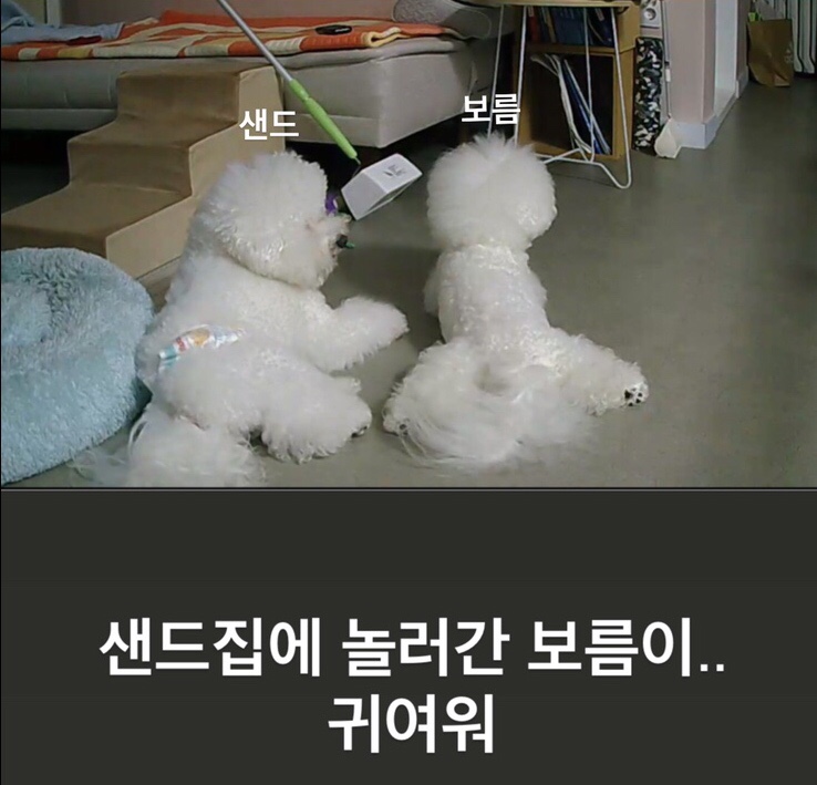 까페수 이미지
