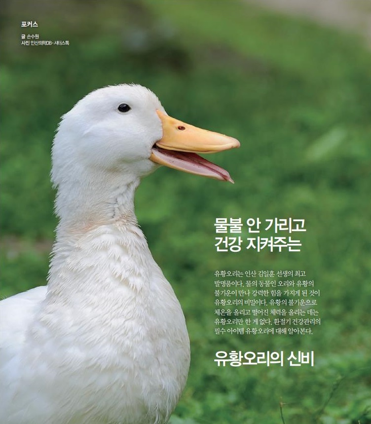 만나 유황오리 이미지