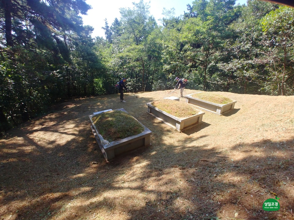 성일조경 이미지