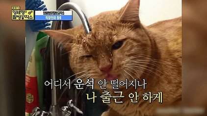 뽕짜 이미지