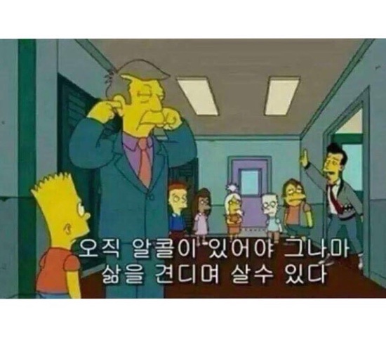 낭만고양이 이미지