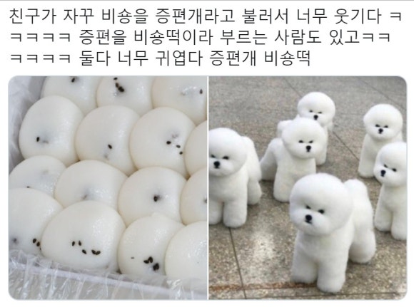 궁잔기지떡 이미지