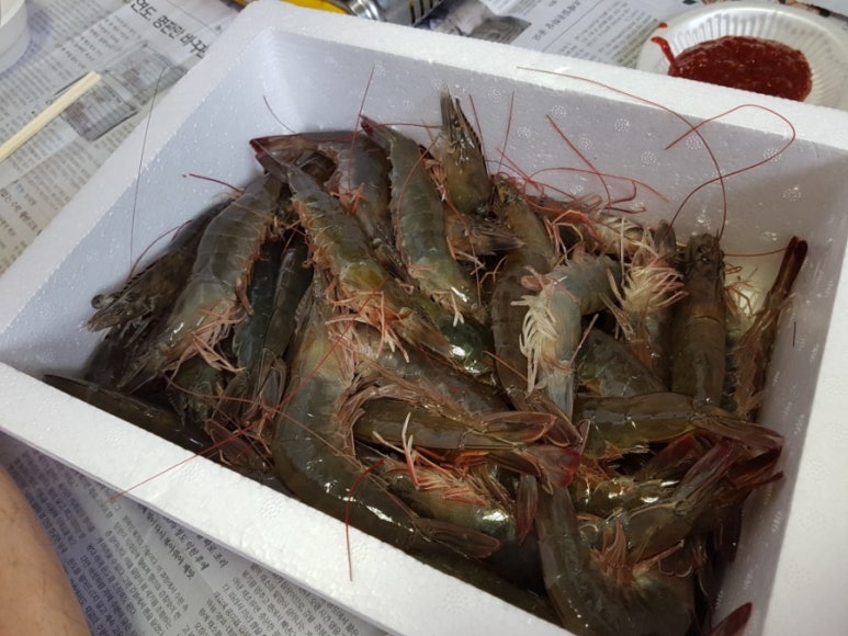 보성수산 이미지