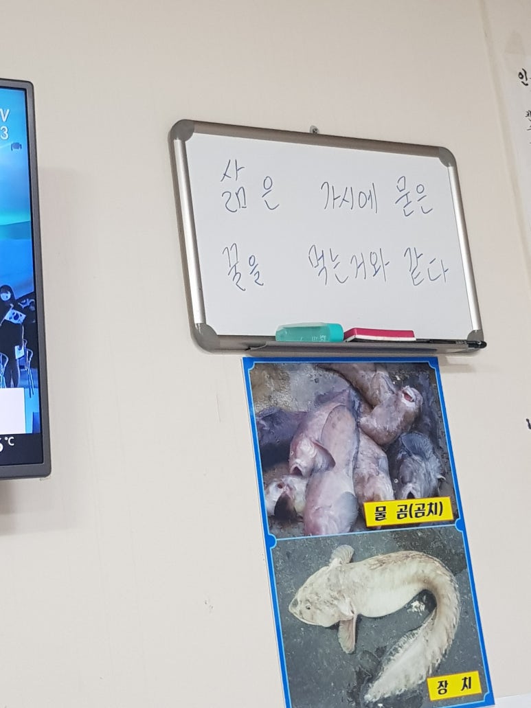 또올래식당 이미지