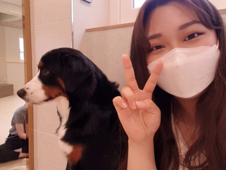엔터테인멍트 이미지