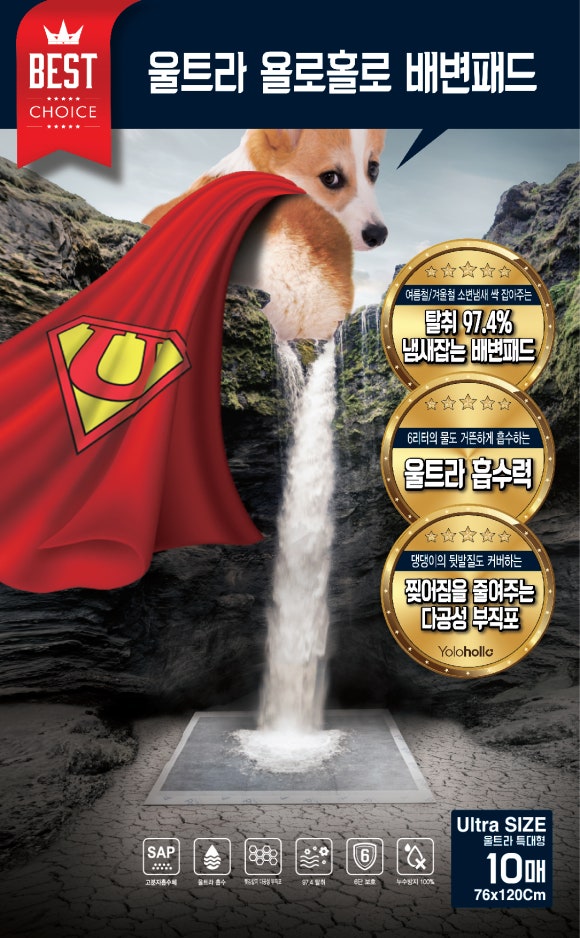 욜로홀로(yolohollo) 이미지