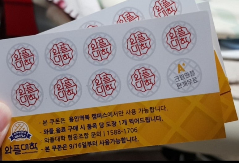 와플대학용인역북캠퍼스 이미지
