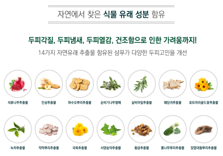 에이치애드 이미지
