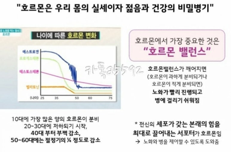 발효정원 이미지