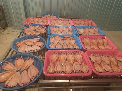 화천수산 이미지