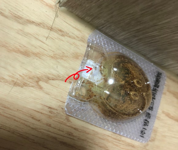 개미플라워 이미지