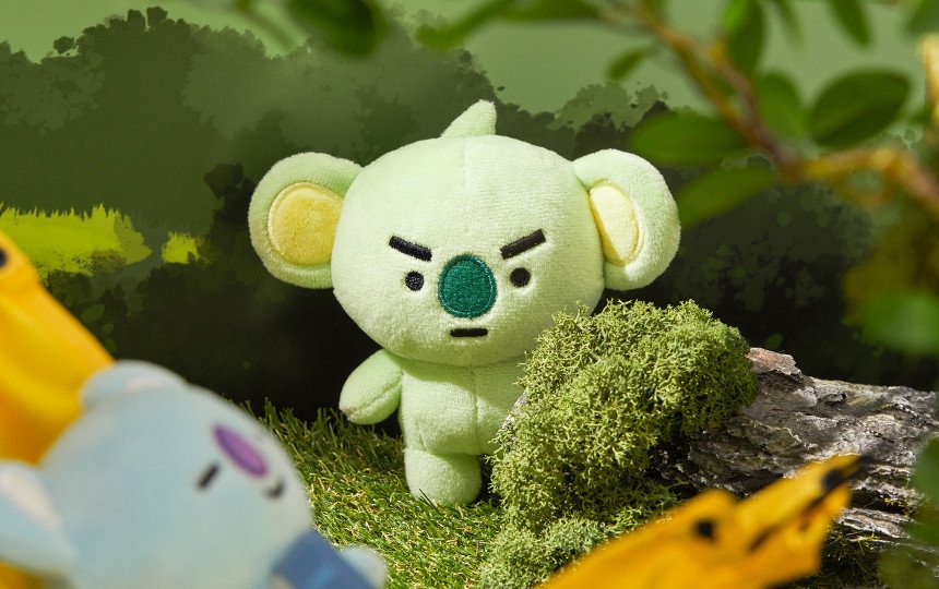 코야 이미지
