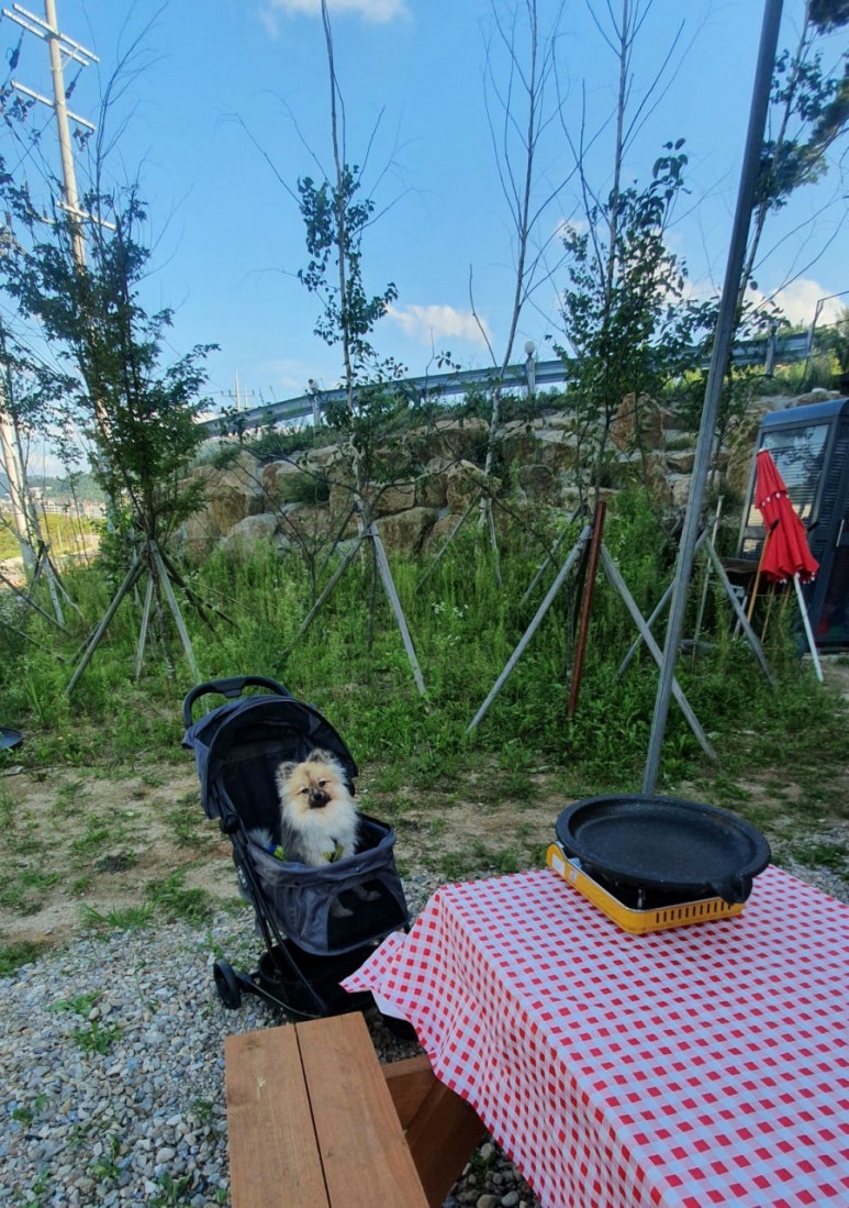 용산골 식당 이미지