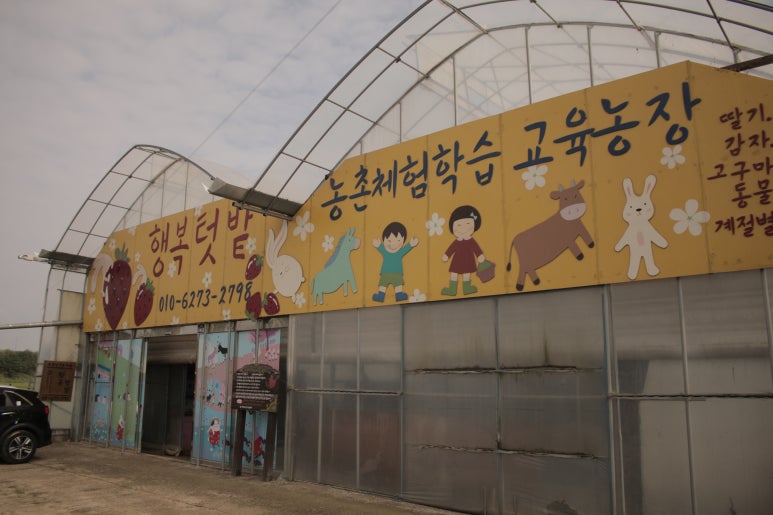요기프룻 이미지