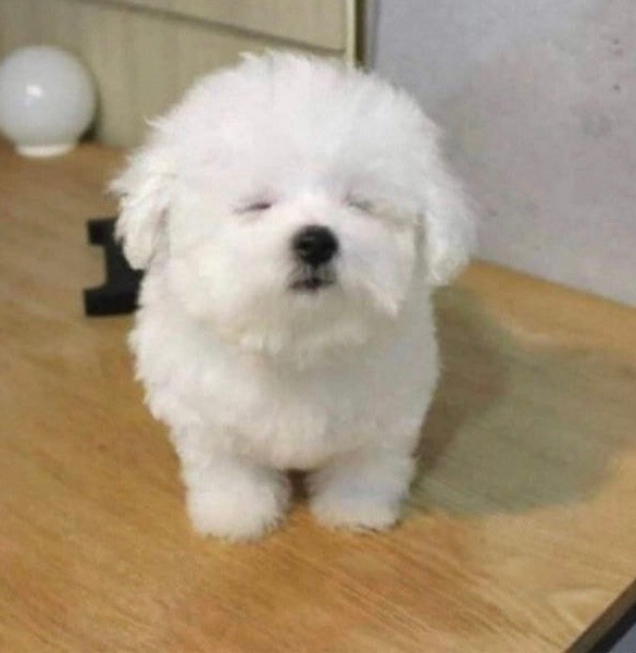 슬로우베이커리 이미지