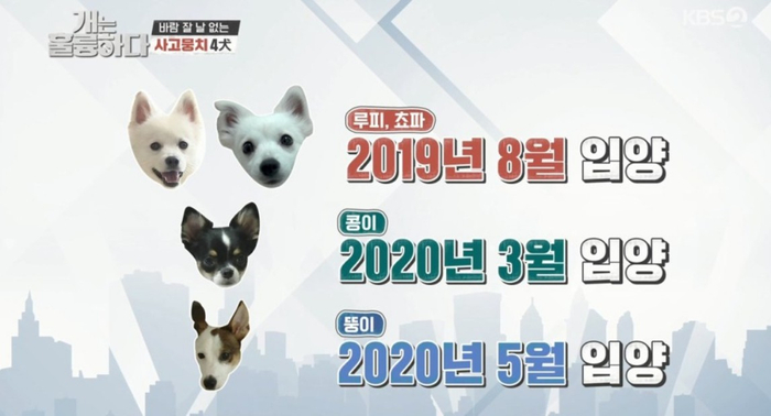 승희상회 이미지