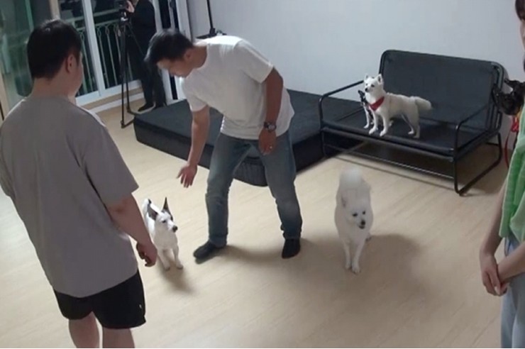 승희상회 이미지
