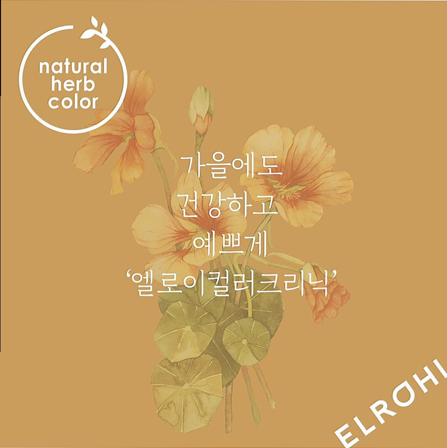 엘로이헤어 이미지