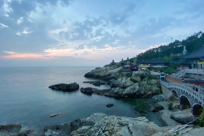 해동돼지국밥 이미지