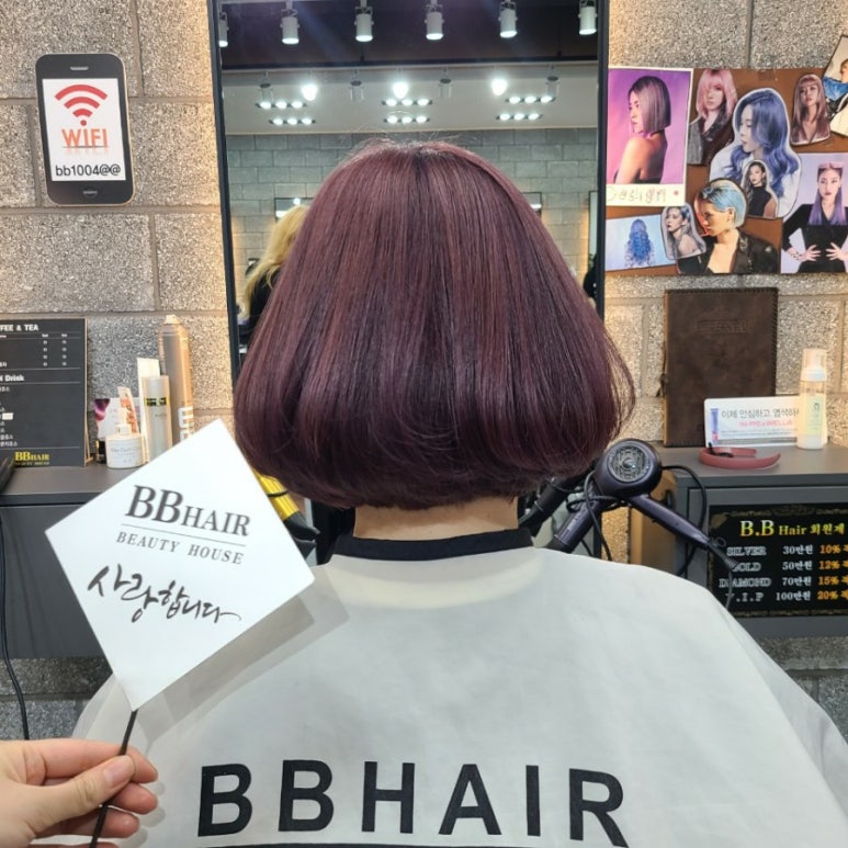 비비 헤어 이미지