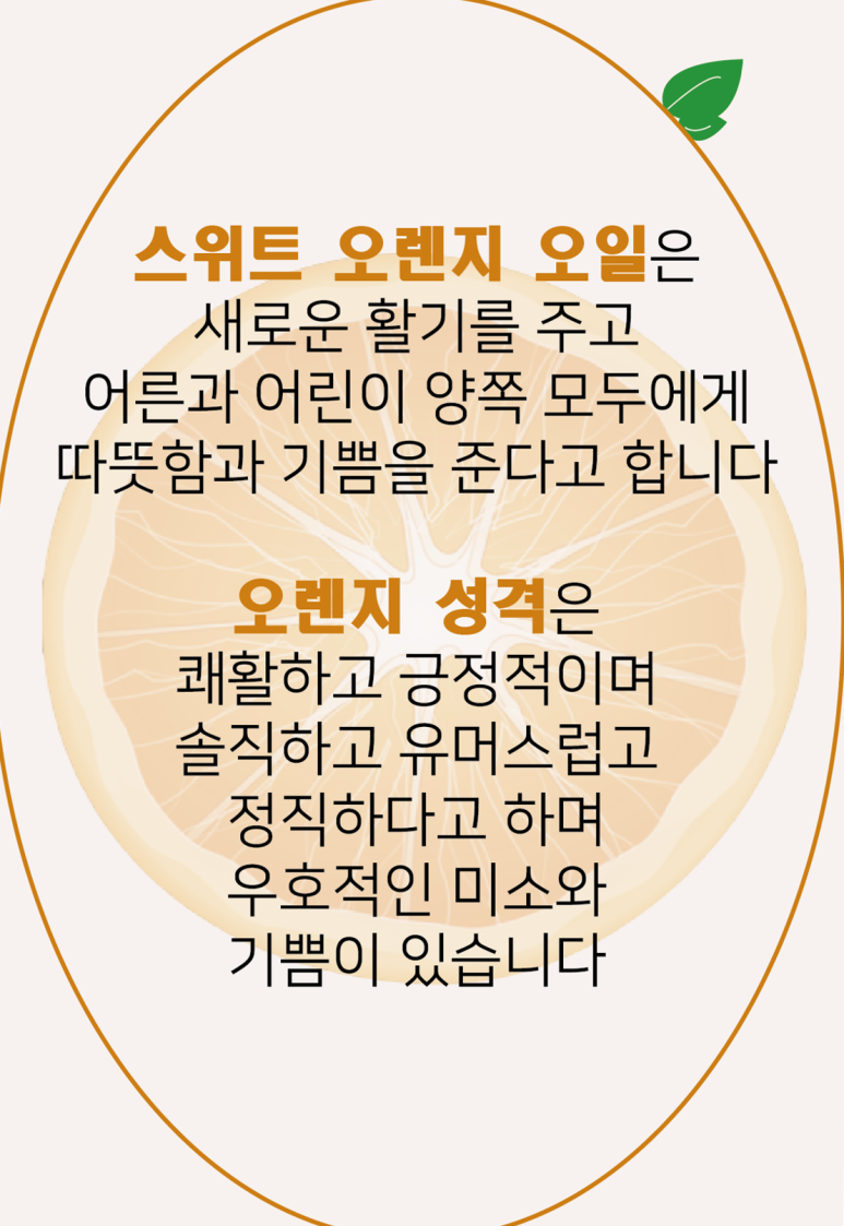 생활의향기 이미지