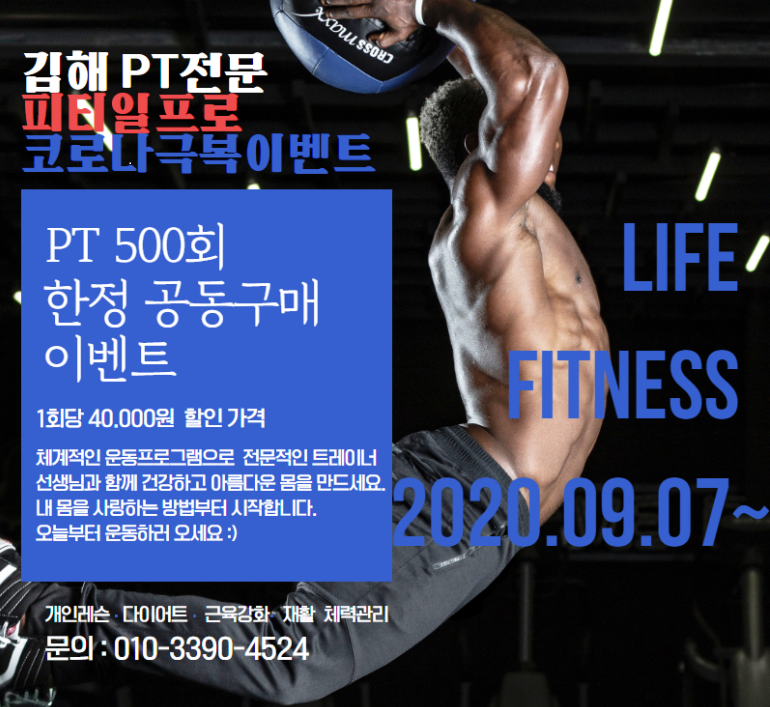 피티일프로 이미지