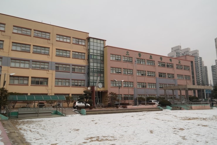 오동인력 이미지