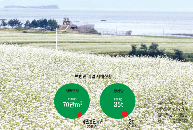 백령신화동냉면 이미지
