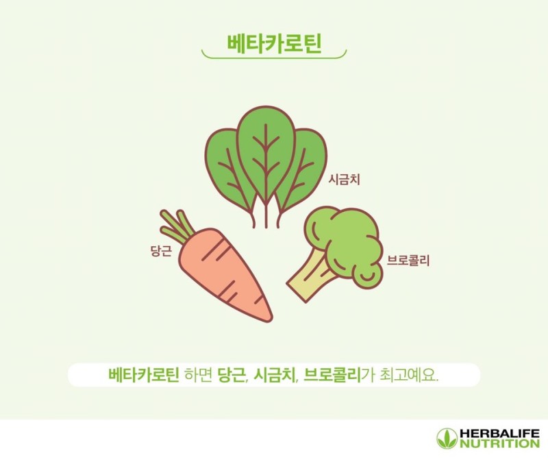헬씨라이프 이미지