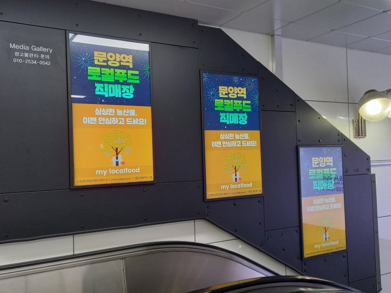 와이제이푸드(YJ푸드) 이미지