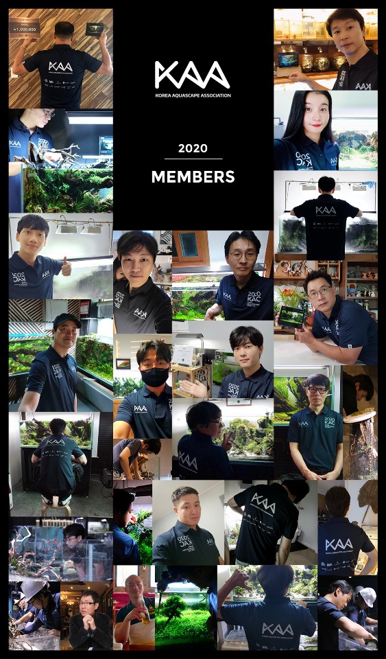 한국수경예술학회 이미지
