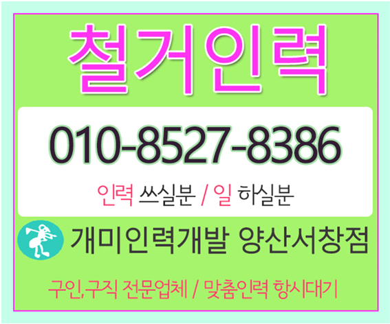 개미산업개발인력 이미지