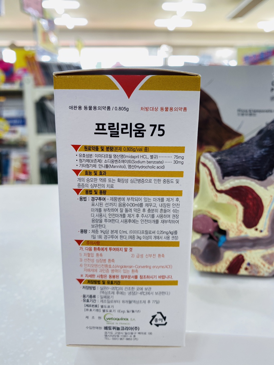옥타Ⅱ 이미지
