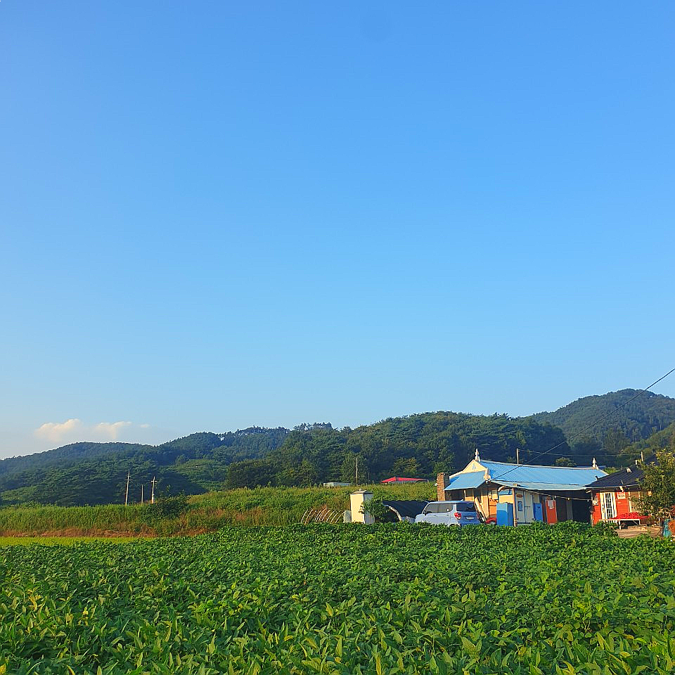 삼남매농수산물 이미지