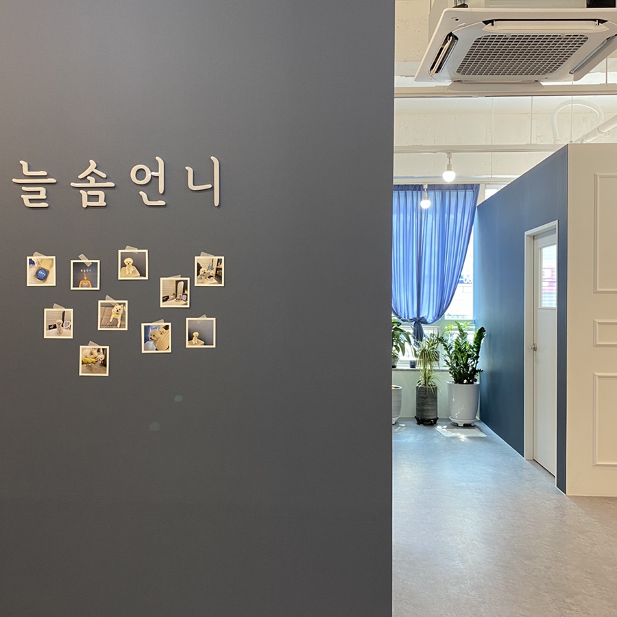 늘솜언니 이미지