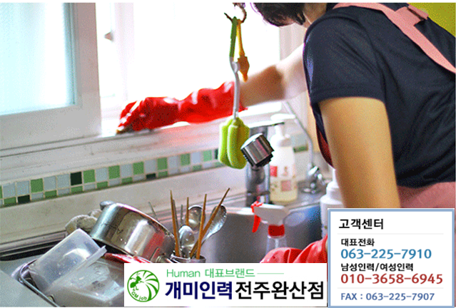 개미파출부 이미지
