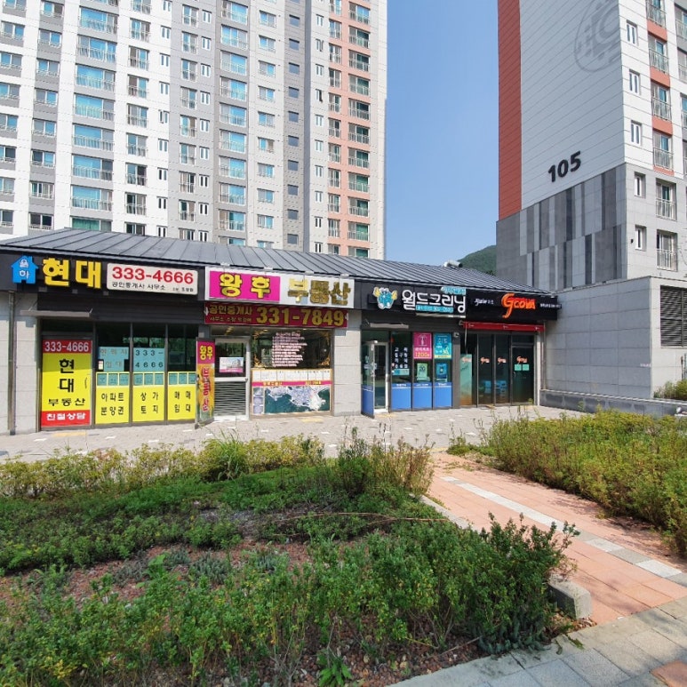 지코바율하 이미지