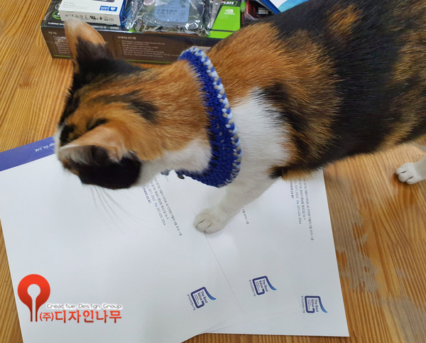 (주)태림이엔티 이미지
